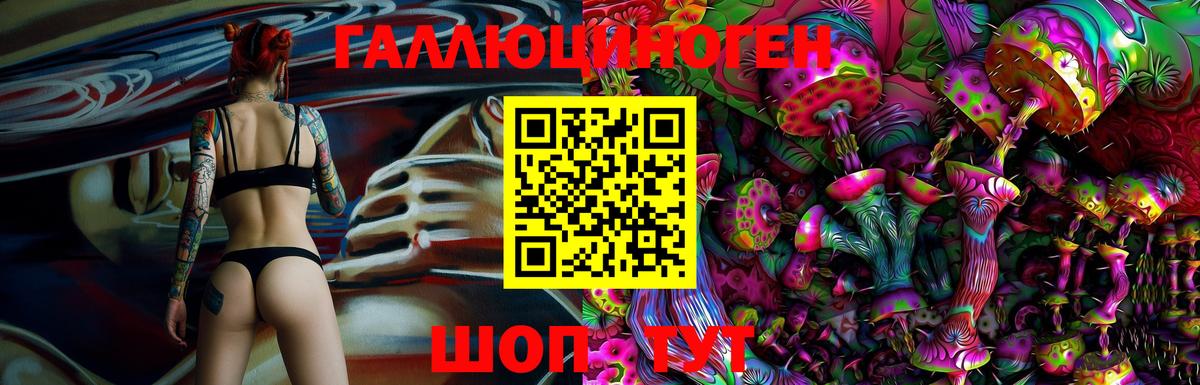 Псилоцибиновые грибы GOLDEN TEACHER Гусев